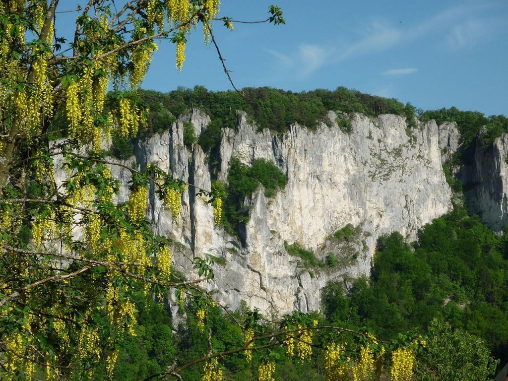 Fewo Larissa Leilighet Beuron Rom bilde